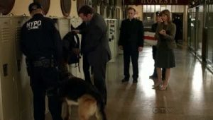 Blue Bloods Saison 1 Episode 6