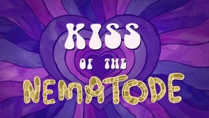 Bob l'éponge Saison 17 Episode 1