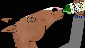 BoJack Horseman Saison 1 Episode 6
