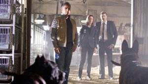 Bones Saison 4 Episode 4