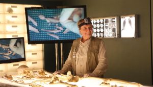 Bones Saison 8 Episode 20