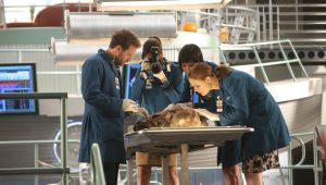 Bones Saison 9 Episode 6