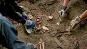 Bosch Saison 1 Episode 1