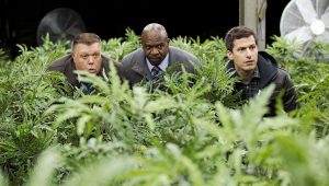 Brooklyn Nine-Nine Saison 3 Episode 16