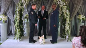 Brooklyn Nine-Nine Saison 8 Episode 8