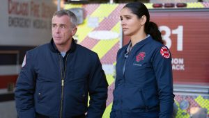 Saison 14