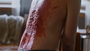 Saison 5