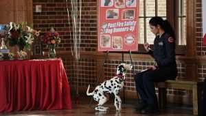 Chicago Fire Saison 7 Episode 11