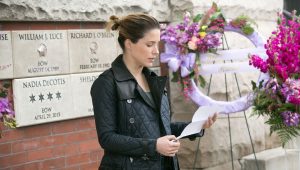Chicago Police Department Saison 2 Episode 21