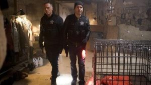 Chicago Police Department Saison 6 Episode 16