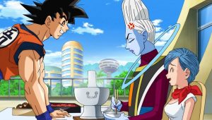 Dragon Ball Super Saison 1 Episode 17