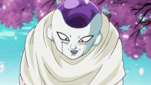 Dragon Ball Super Saison 1 Episode 93