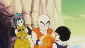 Dragon Ball Z Saison 2 Episode 19