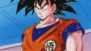 Dragon Ball Z Saison 3 Episode 11