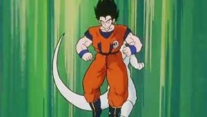Dragon Ball Z Saison 3 Episode 13