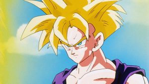 Dragon Ball Z Saison 6 Episode 16