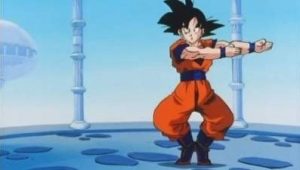 Dragon Ball Z Saison 8 Episode 28
