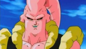 Dragon Ball Z Saison 9 Episode 12