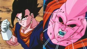 Dragon Ball Z Saison 9 Episode 15