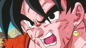 Dragon Ball Z Saison 9 Episode 15