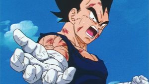Dragon Ball Z Saison 9 Episode 15