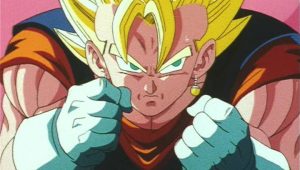 Dragon Ball Z Saison 9 Episode 19