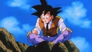 Dragon Ball Z Saison 9 Episode 35