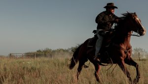 Dutton Ranch Saison 1 Episode 3