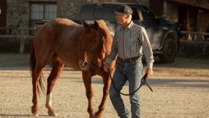 Dutton Ranch Saison 1 Episode 5