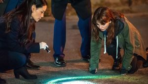 Elementary Saison 3 Episode 8
