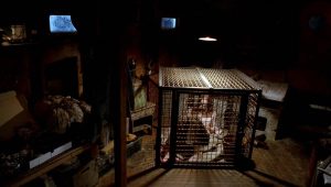 Esprits Criminels Saison 1 Episode 1