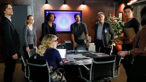 Esprits Criminels Saison 13 Episode 13