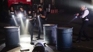 Esprits Criminels Saison 14 Episode 1