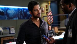 Esprits Criminels Saison 14 Episode 6