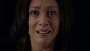 Esprits Criminels Saison 6 Episode 17