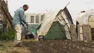 Fear The Walking Dead Saison 2 Episode 12