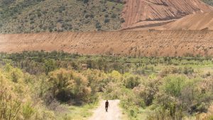 Fear The Walking Dead Saison 2 Episode 8