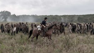 Fear The Walking Dead Saison 5 Episode 16