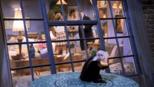 Friends Saison 1 Episode 18