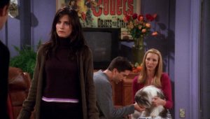 Friends Saison 7 Episode 8