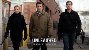 Fringe Saison 1 Episode 16