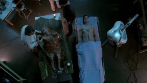Fringe Saison 2 Episode 19