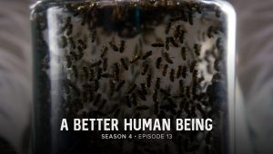 Fringe Saison 4 Episode 13