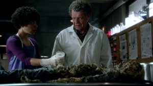 Fringe Saison 4 Episode 3