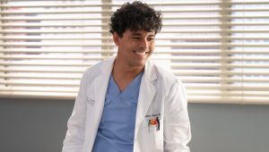 Grey's Anatomy Saison 22 Episode 12