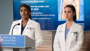 Grey's Anatomy Saison 22 Episode 13