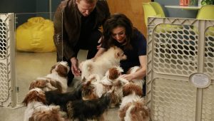 Grey’s Anatomy Saison 12 Episode 14