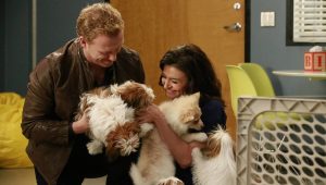 Grey’s Anatomy Saison 12 Episode 14