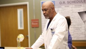 Grey’s Anatomy Saison 12 Episode 2