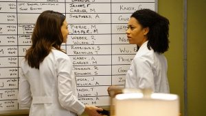 Grey’s Anatomy Saison 13 Episode 22